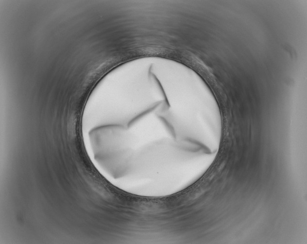 X0000113000106200909241310