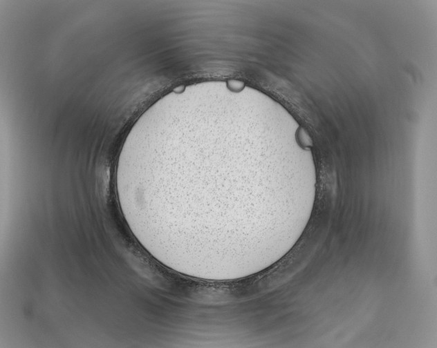 X0000113000110200909241310