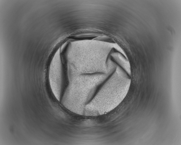 X0000113000111200909241309