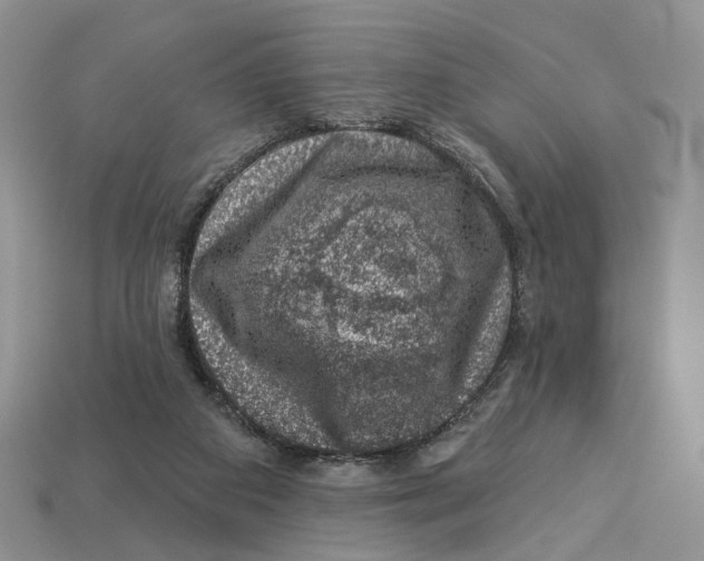 X0000113000113200909241309