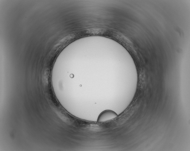 X0000113000114200909241309