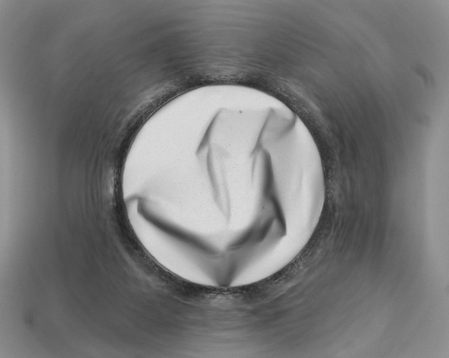 X0000113000115200909241309