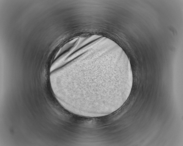 X0000113000116200909241309