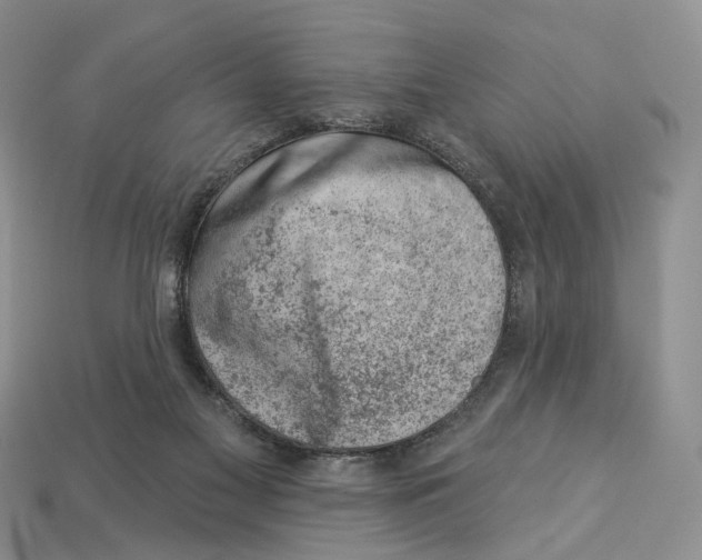 X0000113000117200909241309