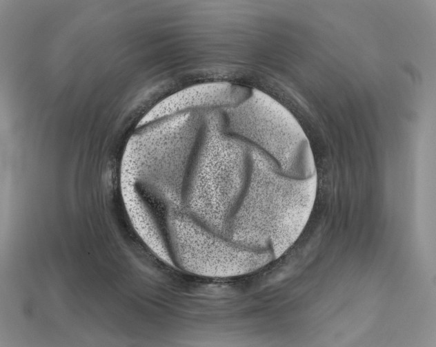 X0000113000119200909241309