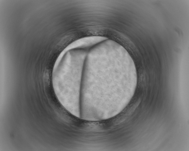 X0000113000121200909241309