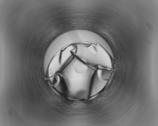 X0000113000123200909241309