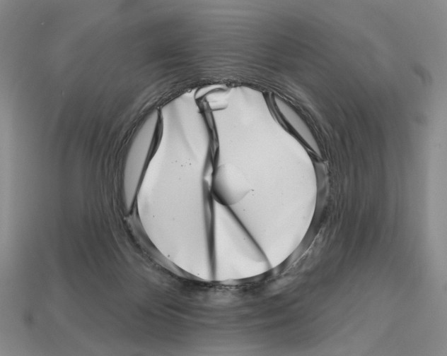 X0000113000124200909241309