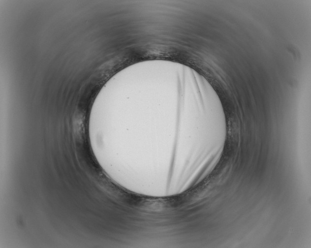 X0000113000127200909241309