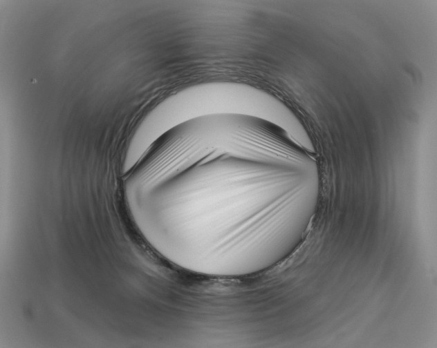 X0000113000128200909241309