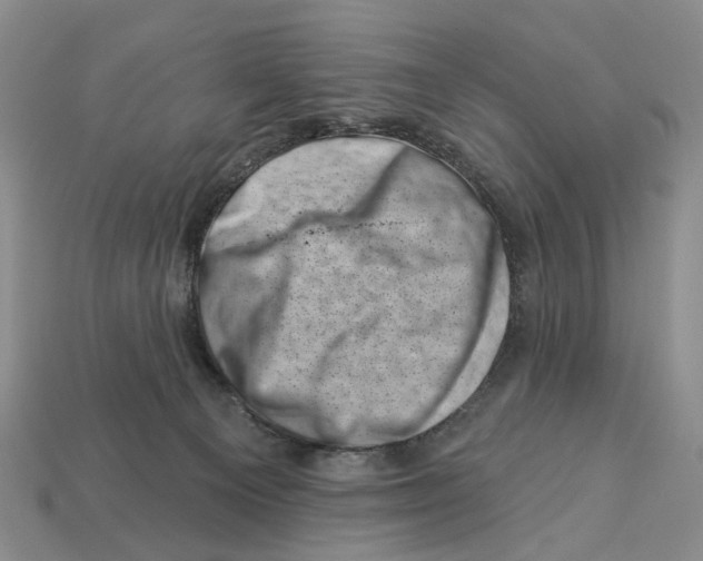 X0000113000129200909241309