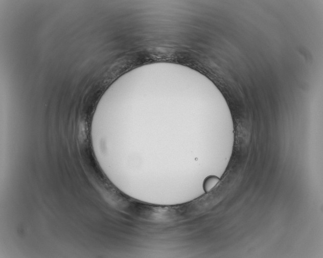 X0000113000130200909241309