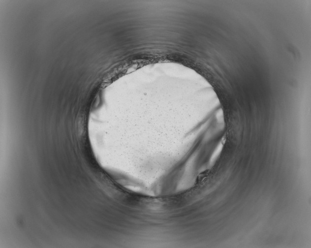 X0000113000131200909241309