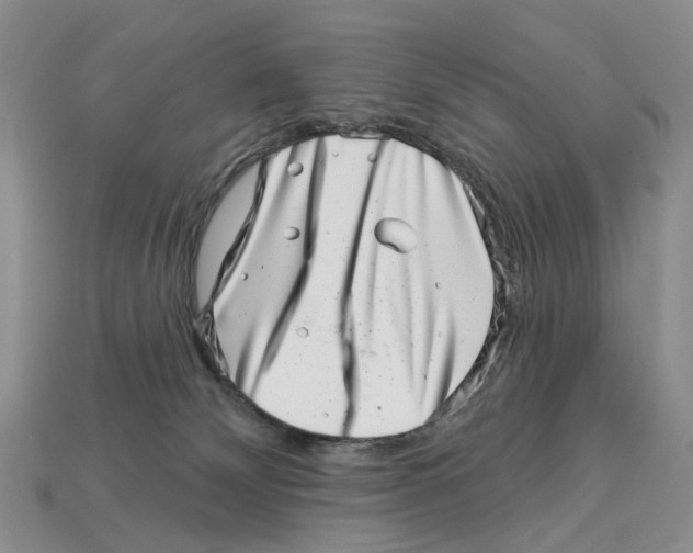 X0000113000132200909241309