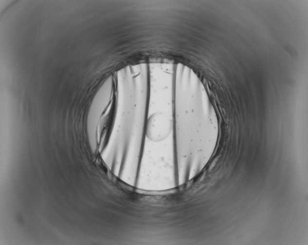 X0000113000133200909241309