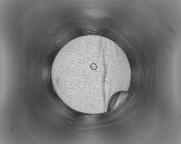 X0000113000134200909241309