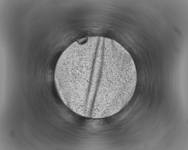 X0000113000135200909241309