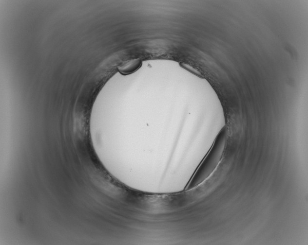 X0000113000136200909241309