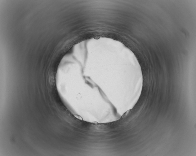 X0000113000137200909241309