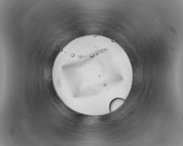 X0000113000138200909241309