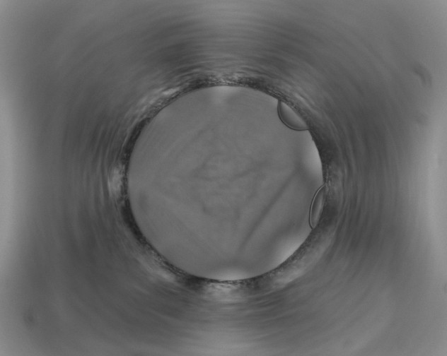 X0000113000139200909241309