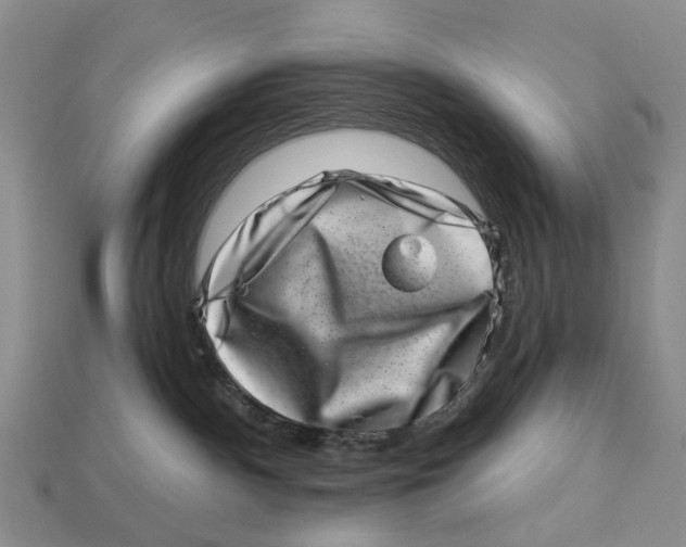 X0000113000140200909241309