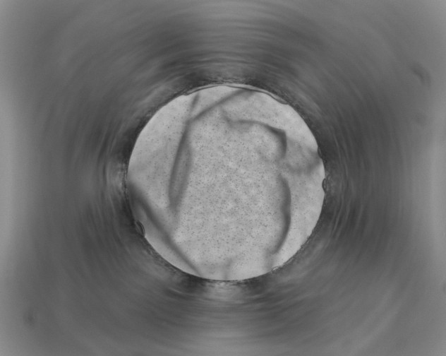 X0000113000141200909241309