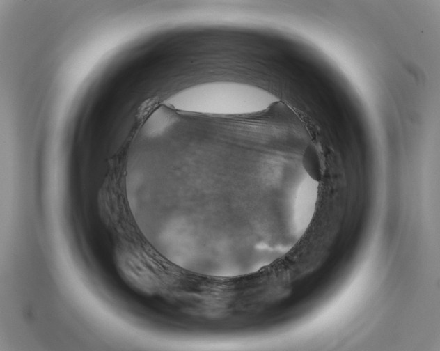 X0000113000143200909241309