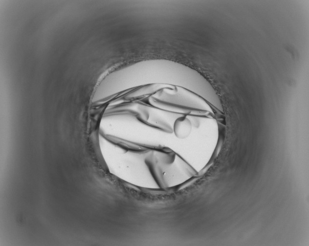 X0000113000144200909241309