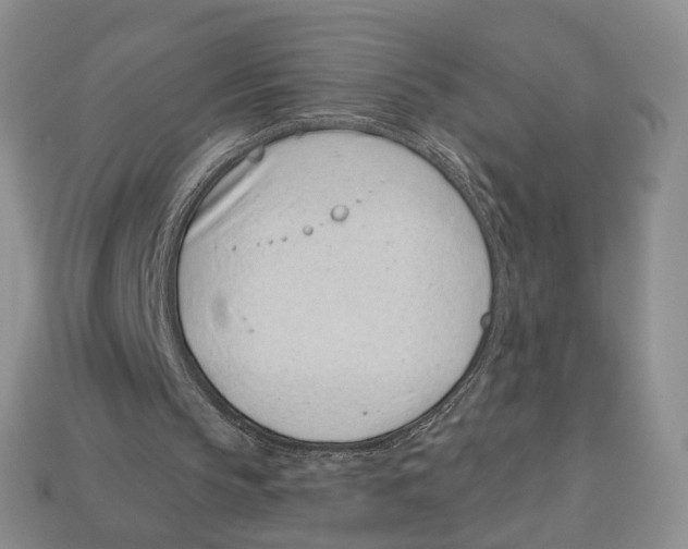 X0000113000145200909241308