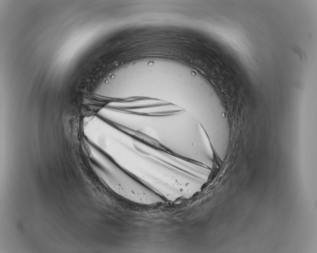 X0000113000146200909241308