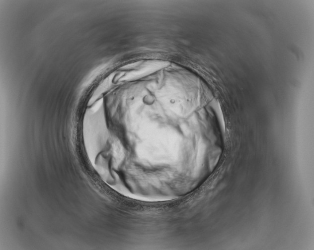 X0000113000149200909241309