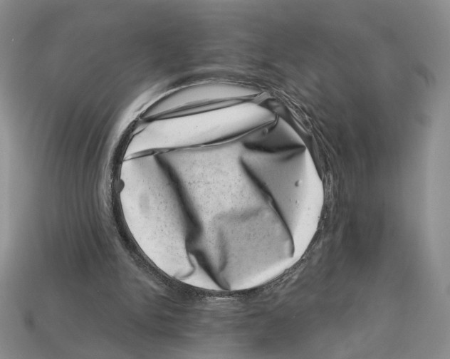 X0000113000150200909241309