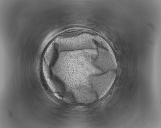 X0000113000151200909241309