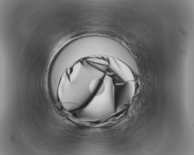 X0000113000152200909241309