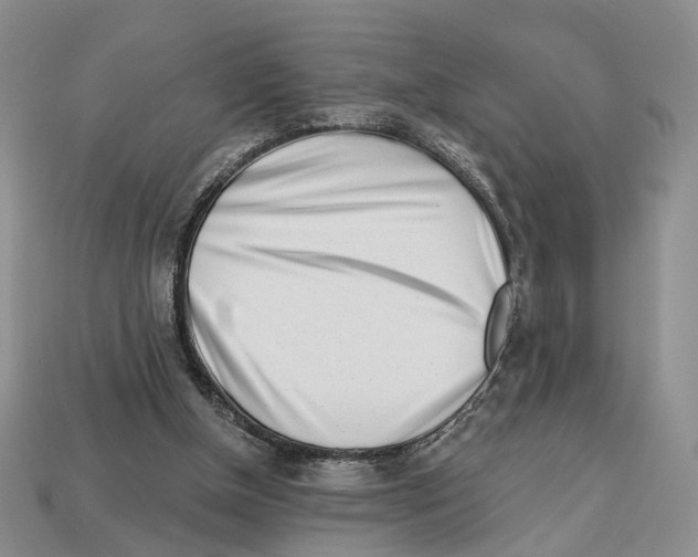 X0000113000154200909241309