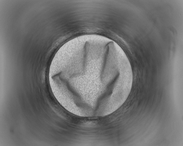 X0000113000155200909241309