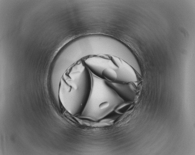 X0000113000156200909241309