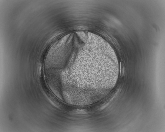 X0000113000157200909241309