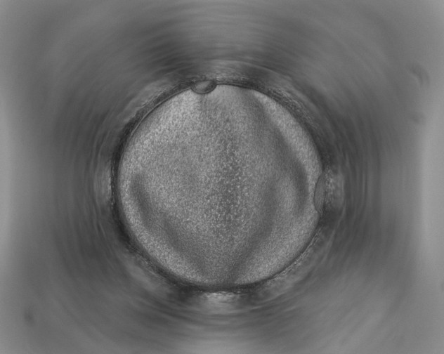 X0000113000158200909241309