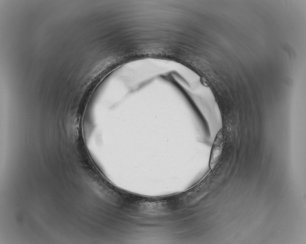 X0000113000160200909241309