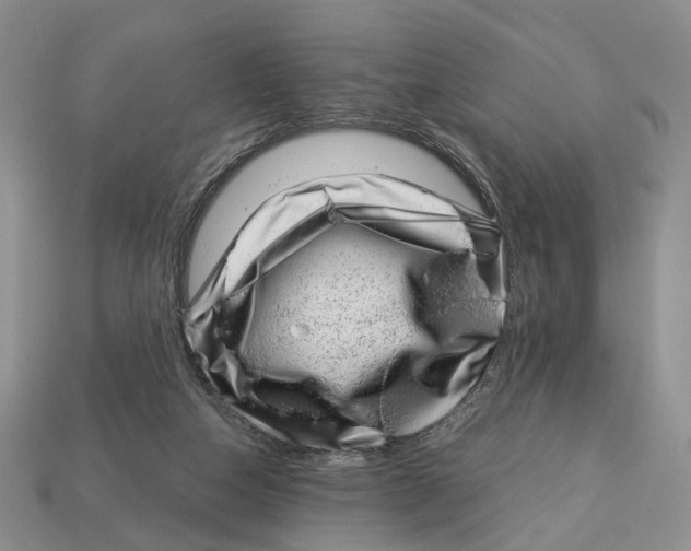 X0000113000162200909241309