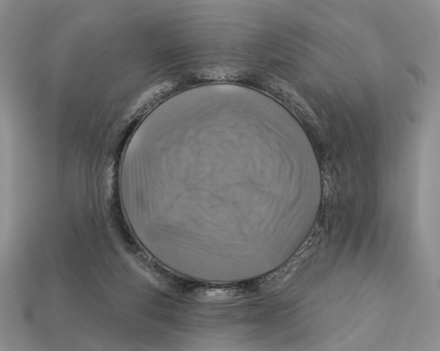 X0000113000163200909241309