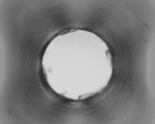 X0000113000164200909241309