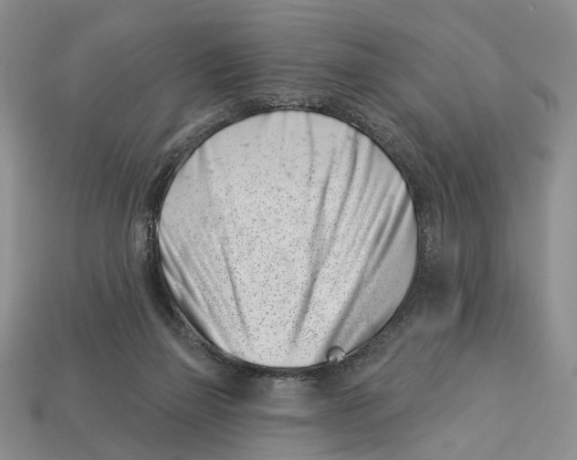 X0000113000165200909241309