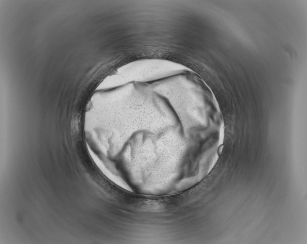 X0000113000166200909241309