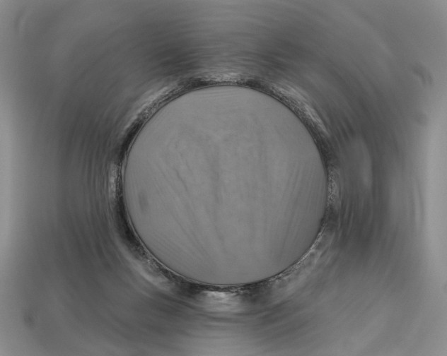 X0000113000167200909241309