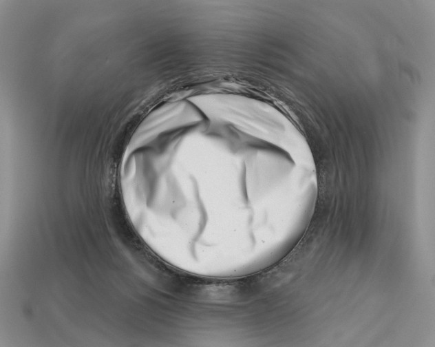 X0000113000168200909241309