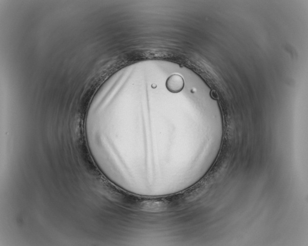 X0000113000169200909241309