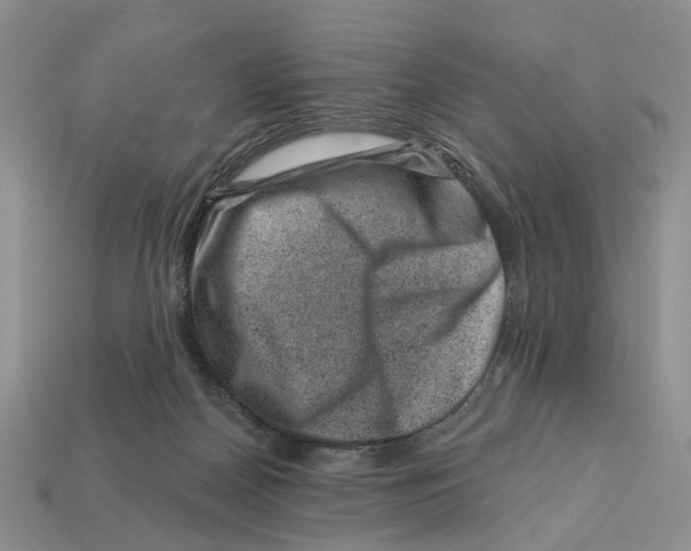 X0000113000170200909241309